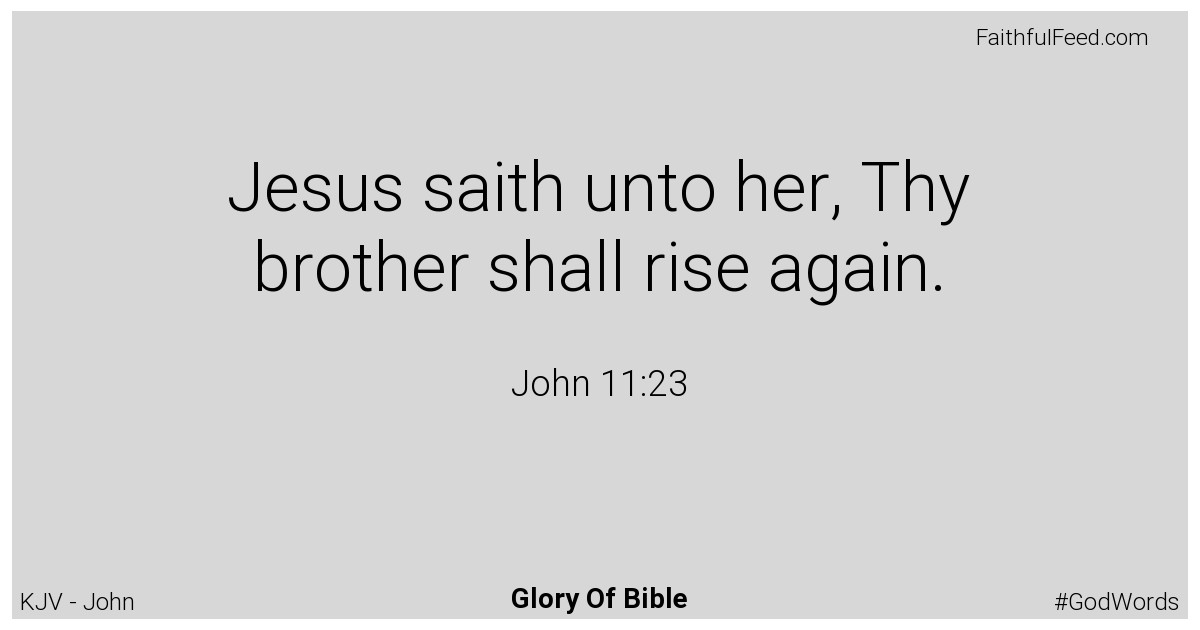 John 11:23 - Kjv