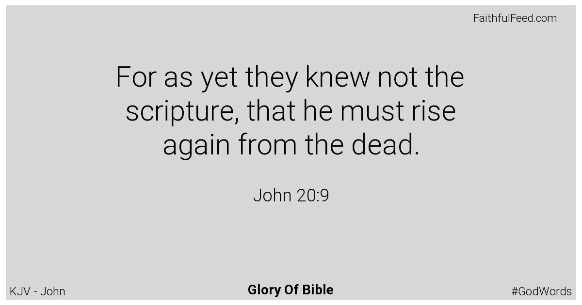 John 20:9 - Kjv