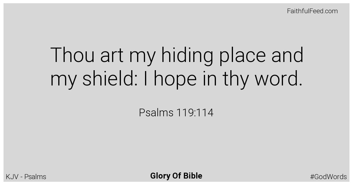 Psalms 119:114 - Kjv