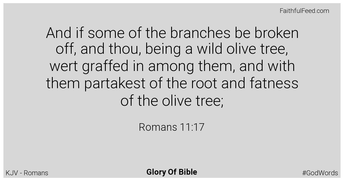 Romans 11:17 - Kjv