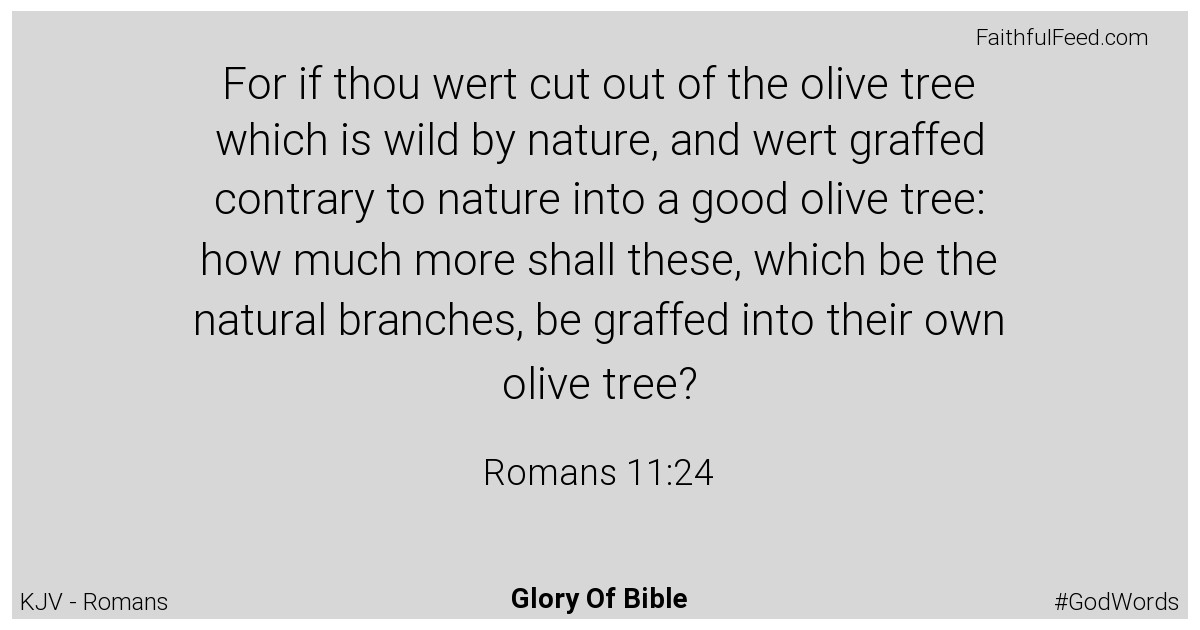 Romans 11:24 - Kjv