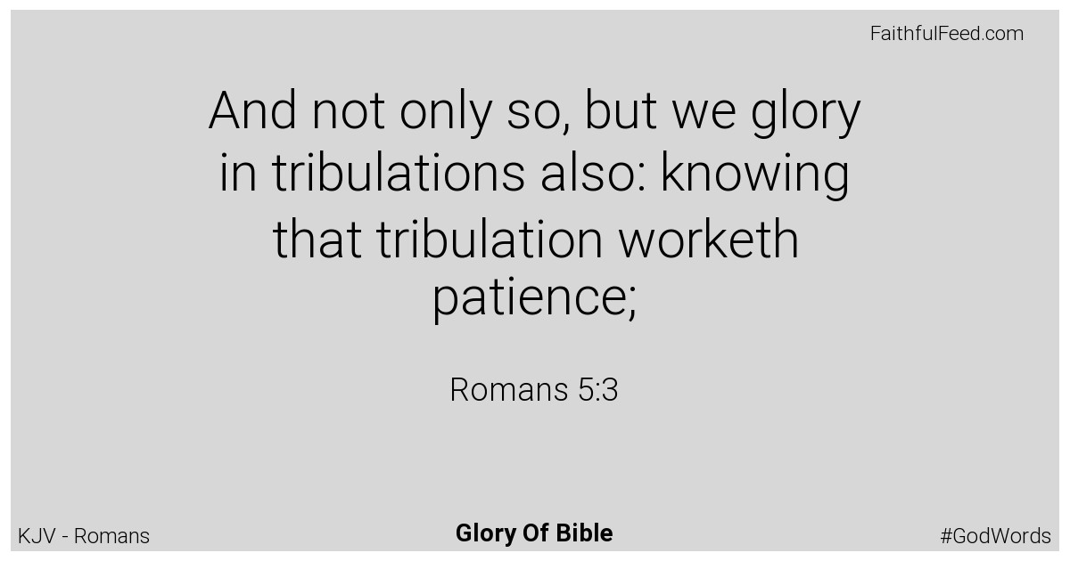 Romans 5:3 - Kjv