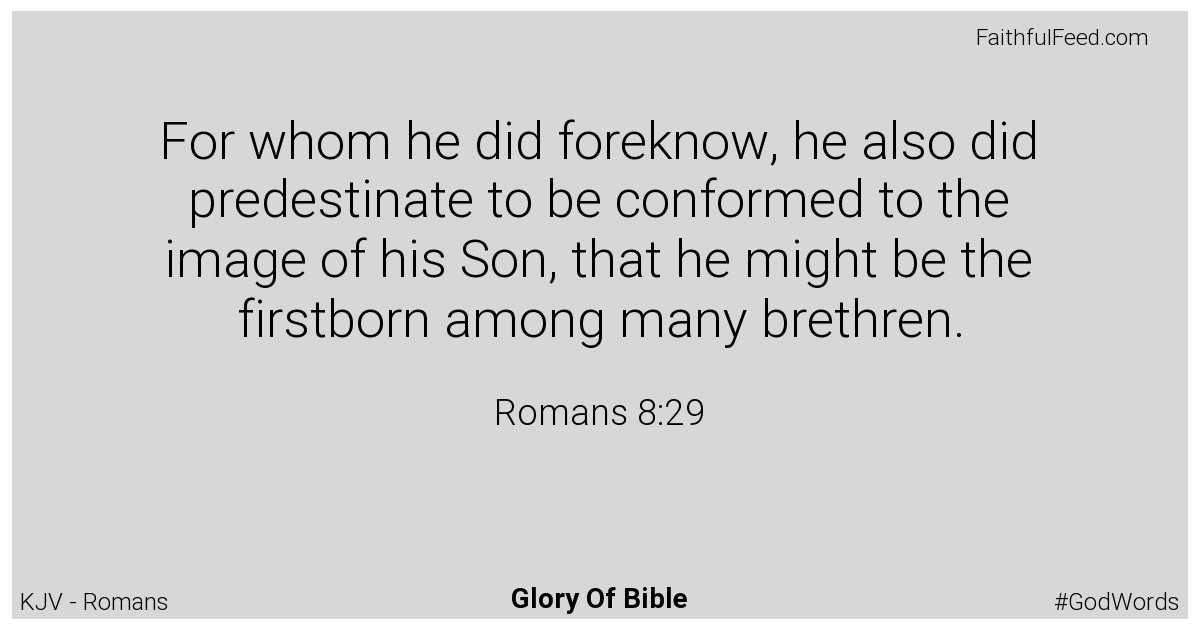 Romans 8:29 - Kjv