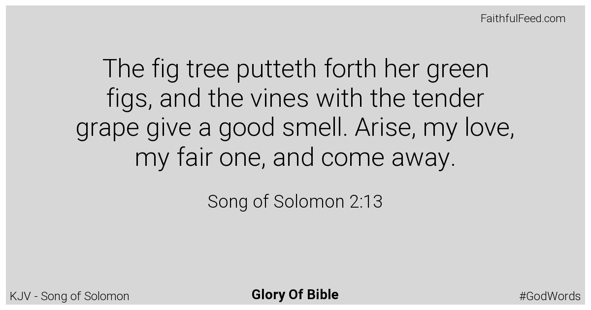 Song-of-solomon 2:13 - Kjv