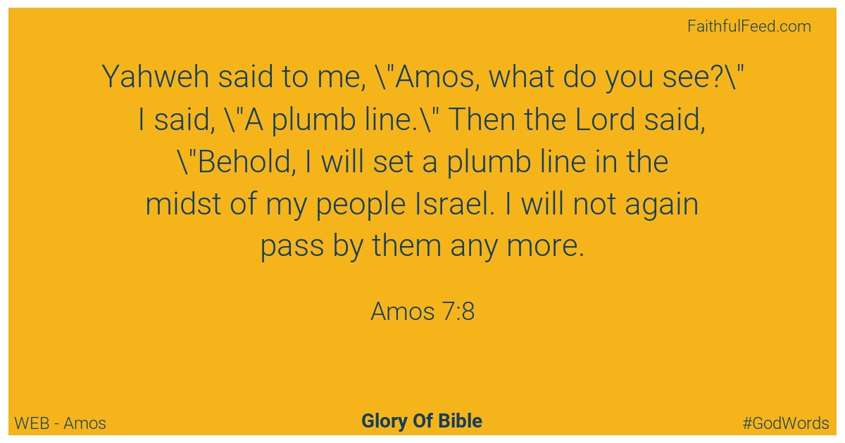 Amos 7:8 - Web