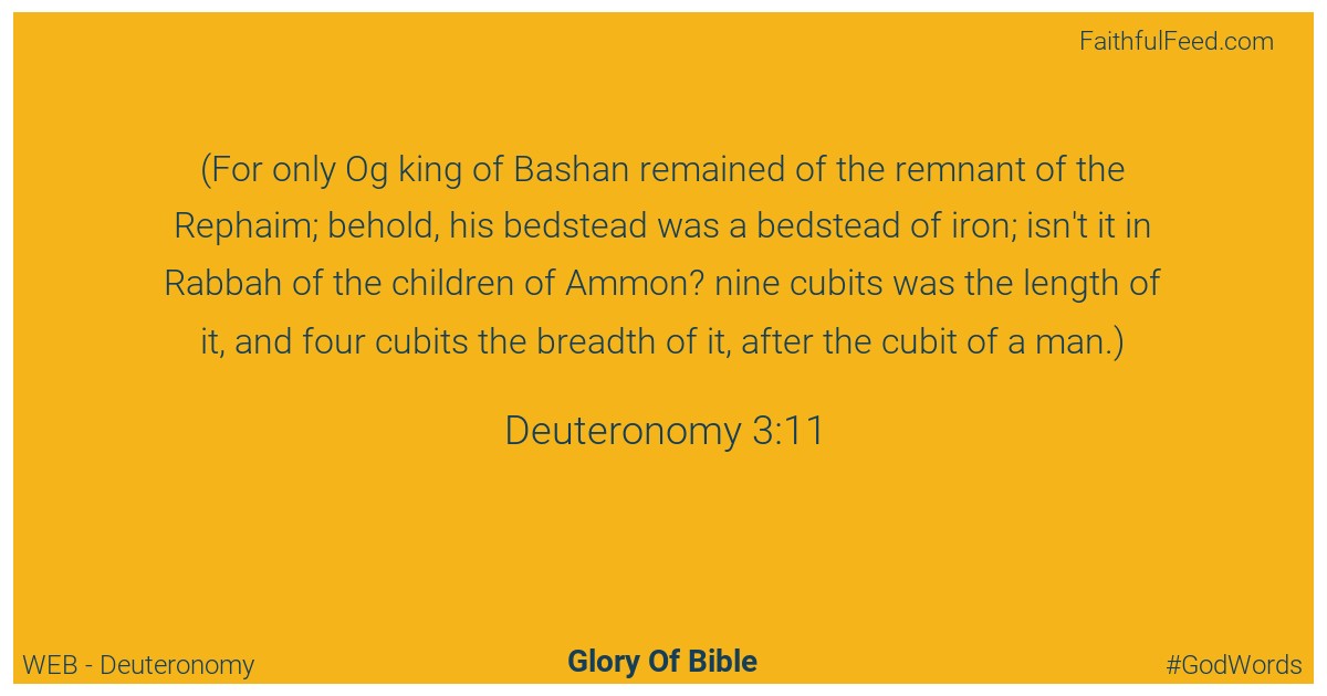 Deuteronomy 3:11 - Web