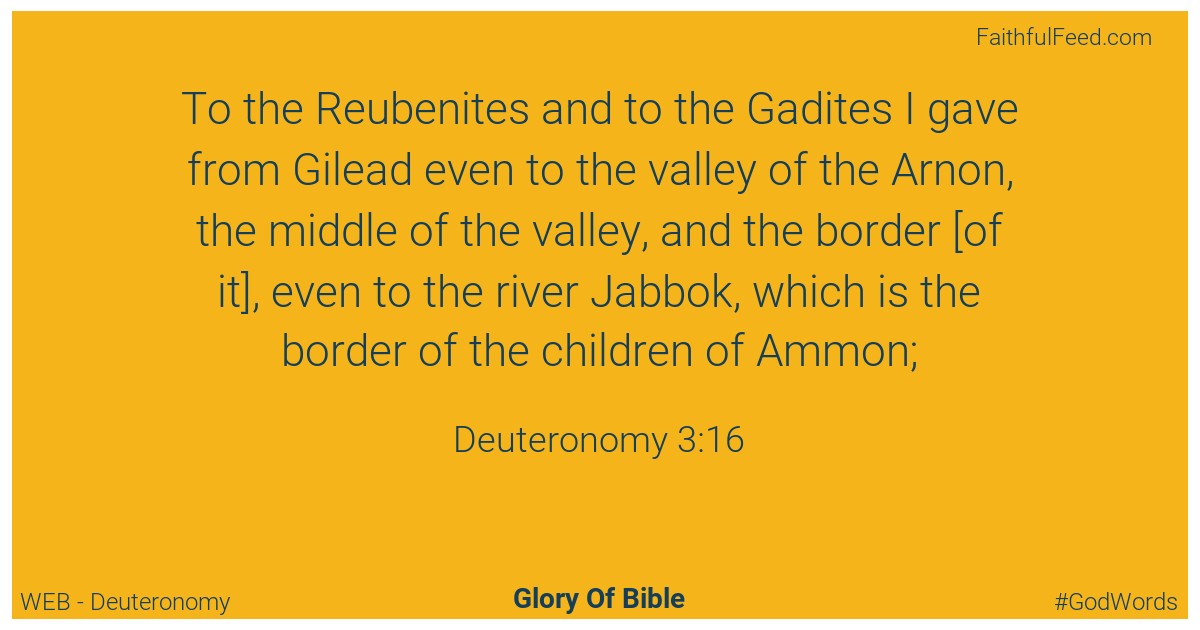 Deuteronomy 3:16 - Web