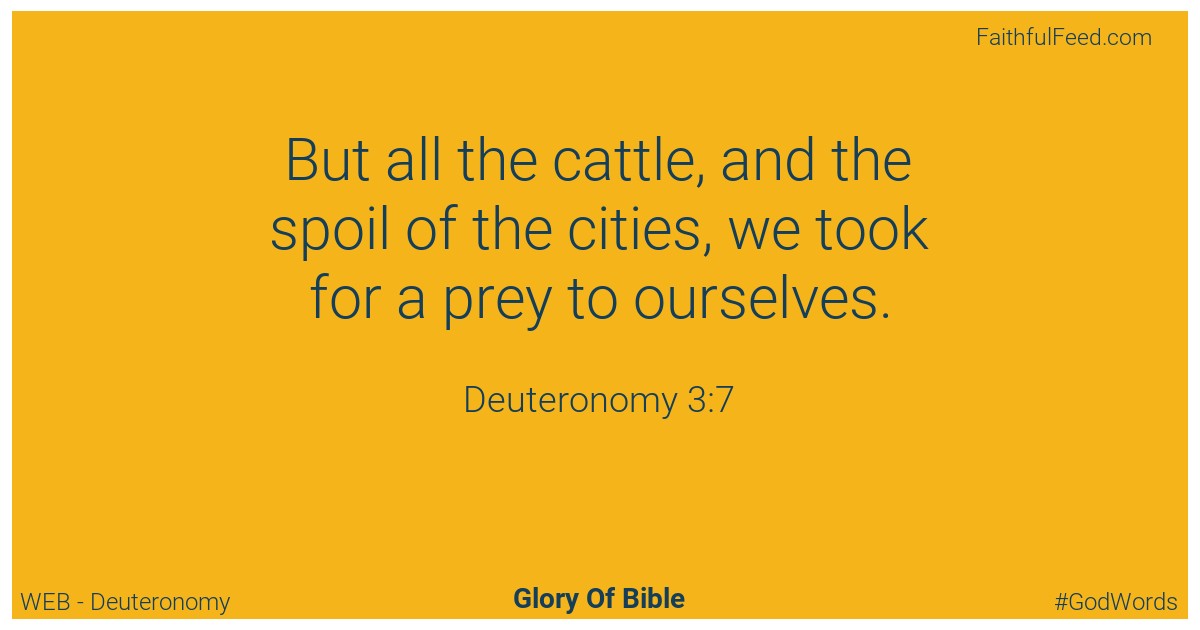 Deuteronomy 3:7 - Web