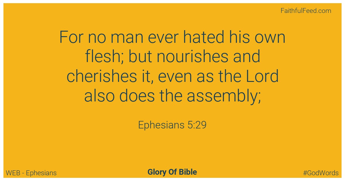 Ephesians 5:29 - Web