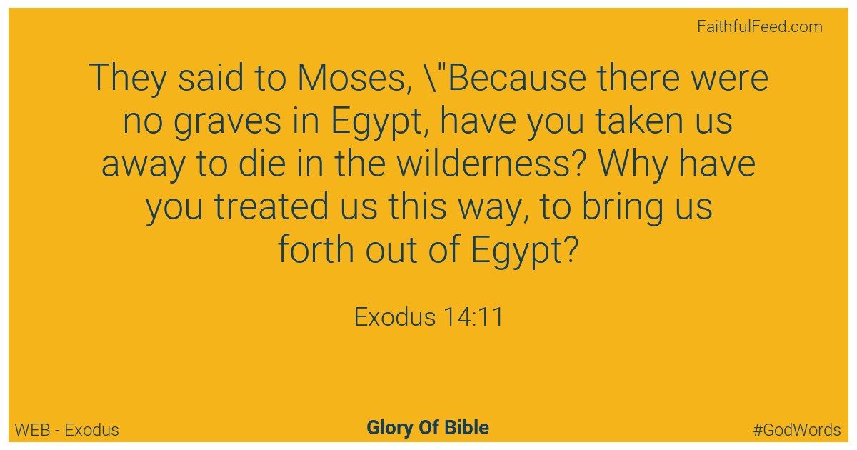 Exodus 14:11 - Web