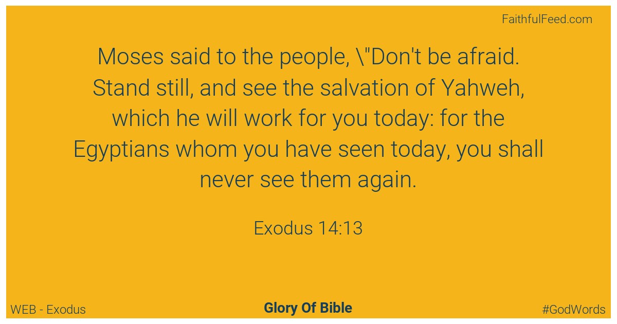 Exodus 14:13 - Web