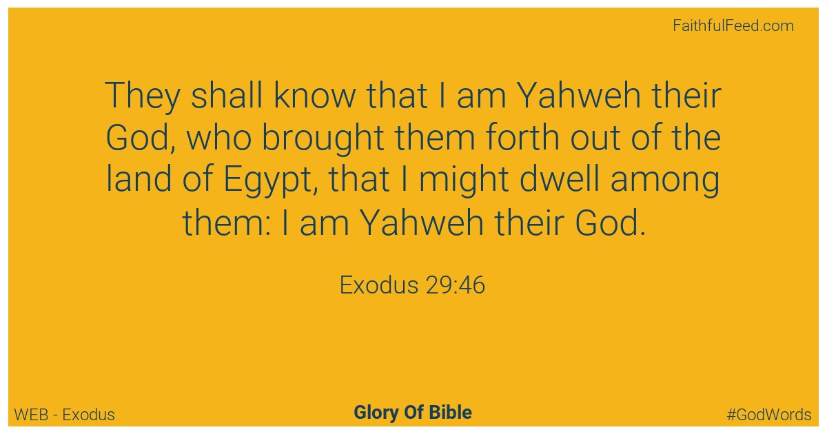 Exodus 29:46 - Web