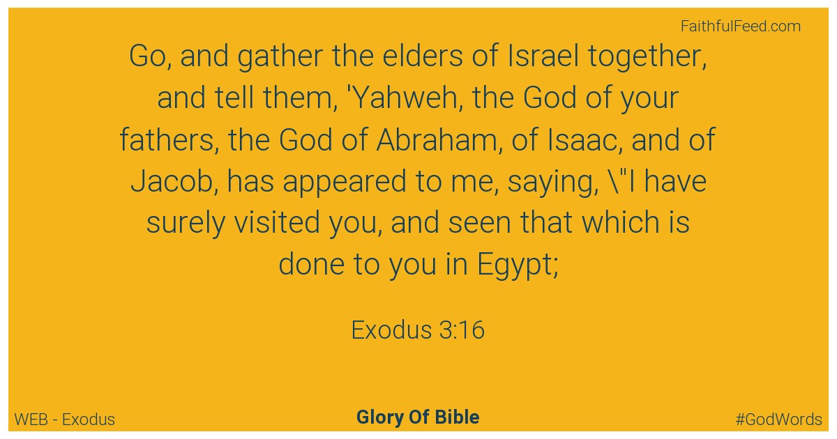 Exodus 3:16 - Web