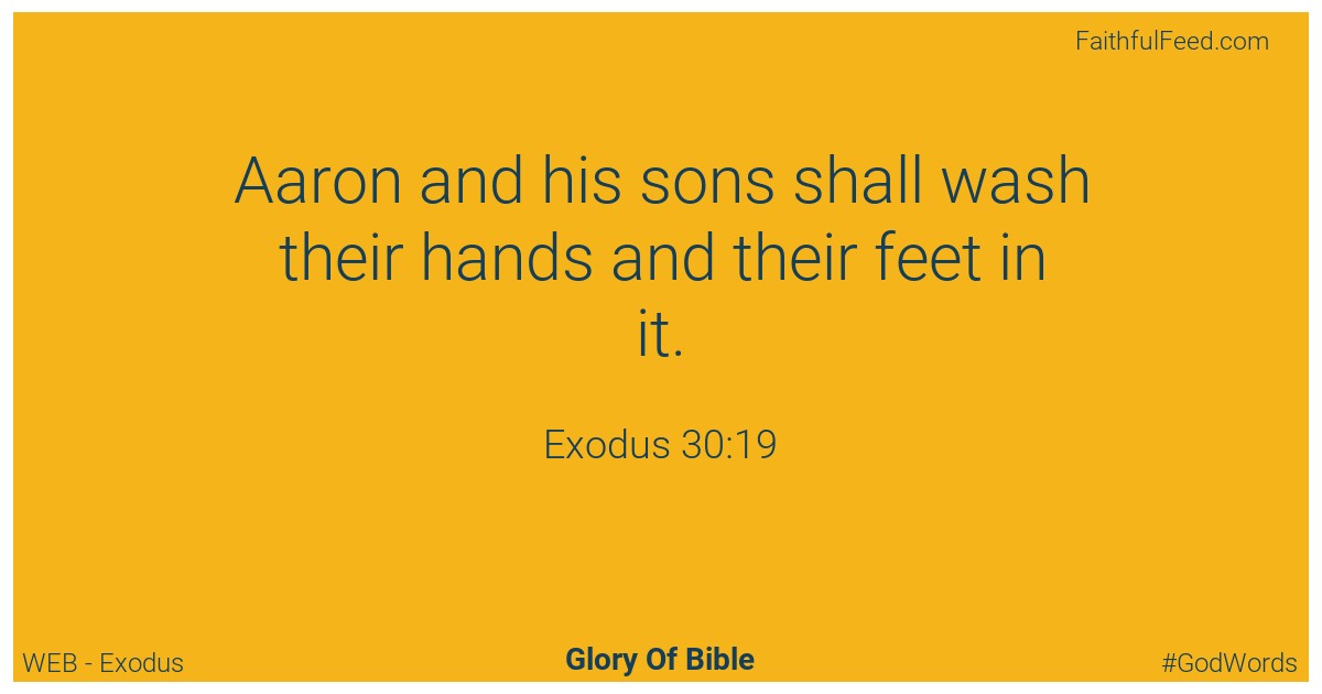 Exodus 30:19 - Web