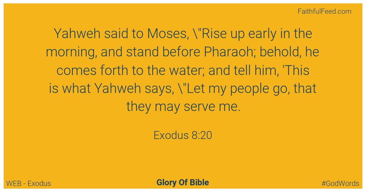 Exodus 8:20 - Web
