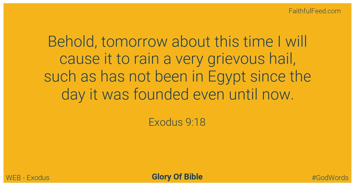 Exodus 9:18 - Web