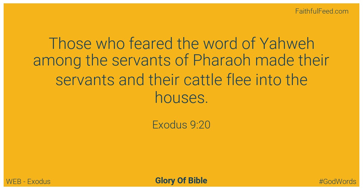 Exodus 9:20 - Web