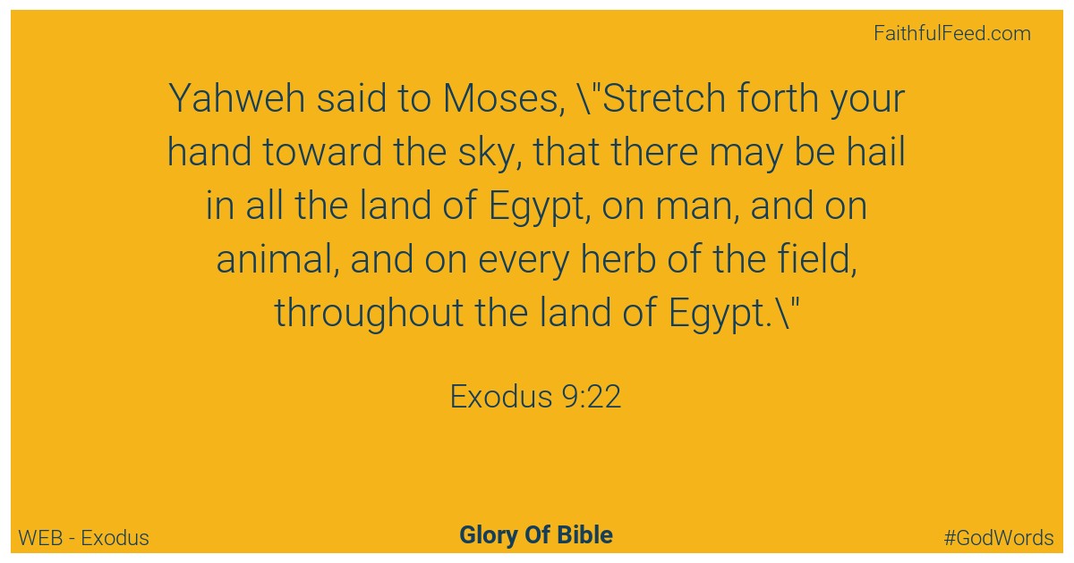Exodus 9:22 - Web