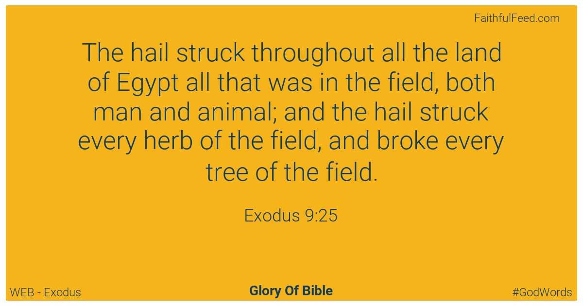 Exodus 9:25 - Web