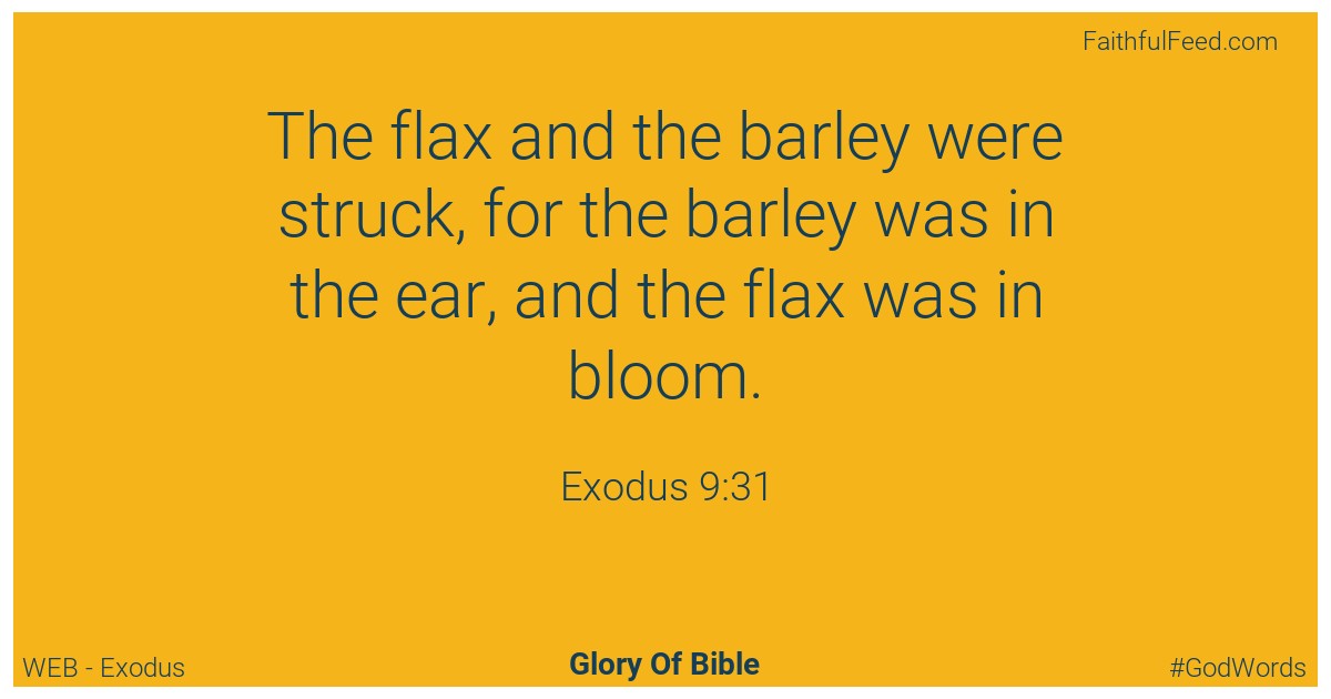 Exodus 9:31 - Web