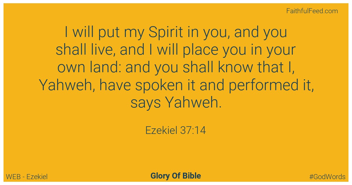 Ezekiel 37:14 - Web