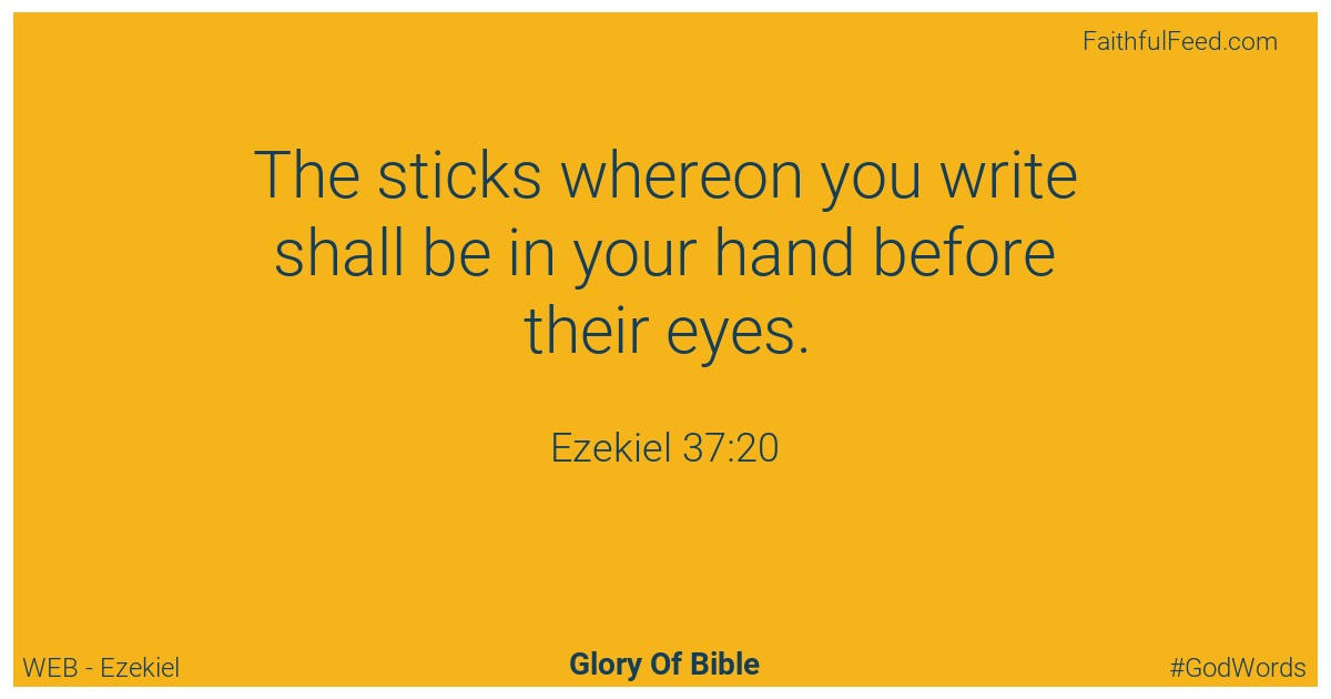 Ezekiel 37:20 - Web