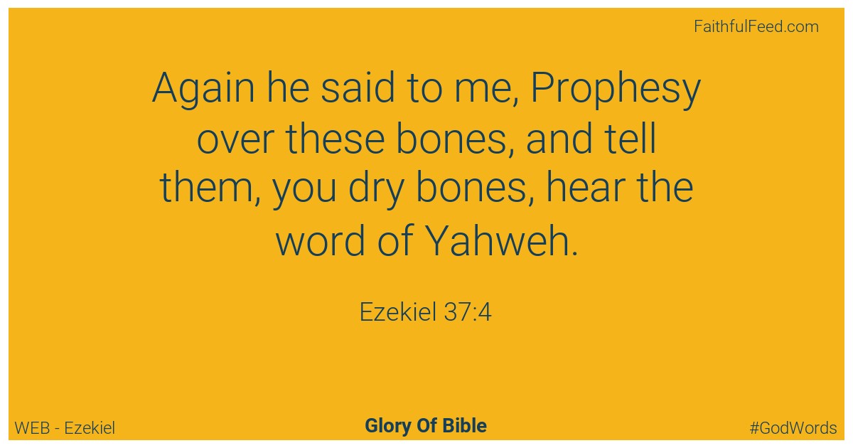 Ezekiel 37:4 - Web