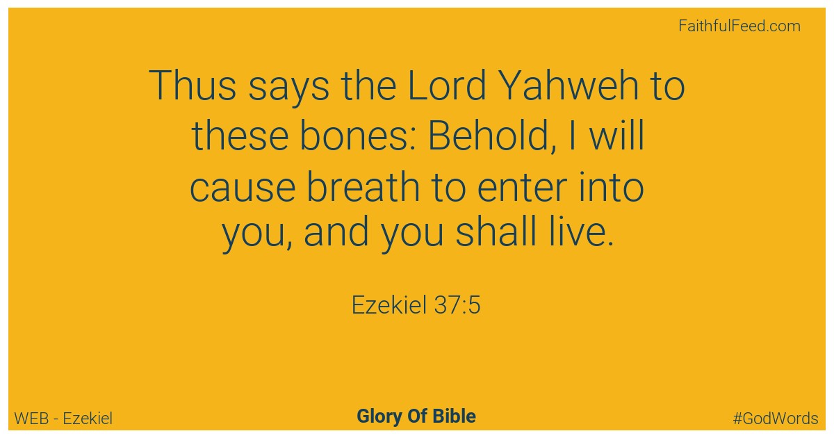 Ezekiel 37:5 - Web