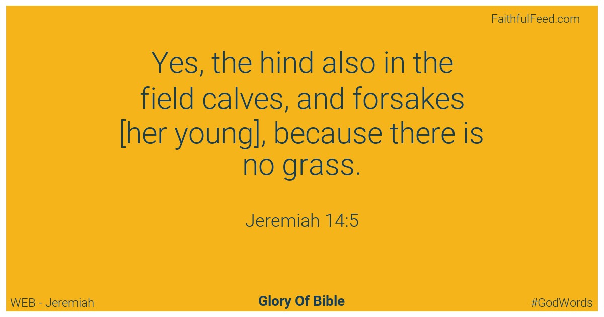 Jeremiah 14:5 - Web