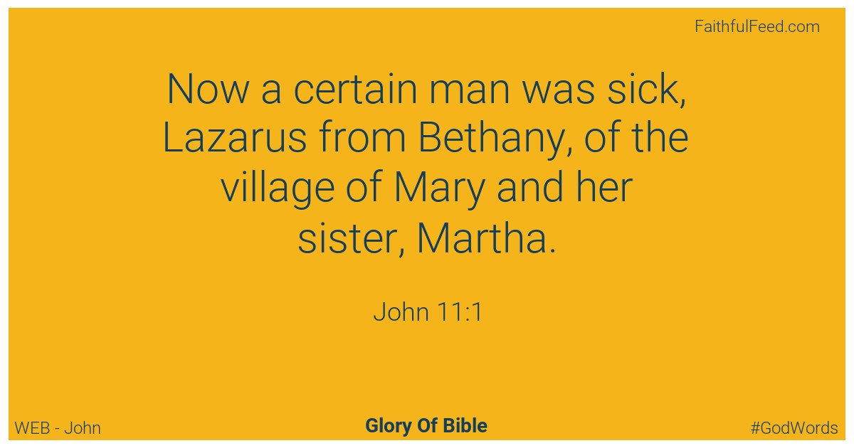 The Bible Verses from John Chapter 11 - Web