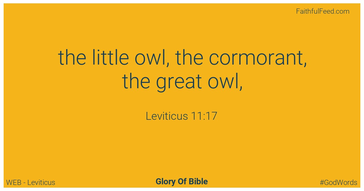 Leviticus 11:17 - Web