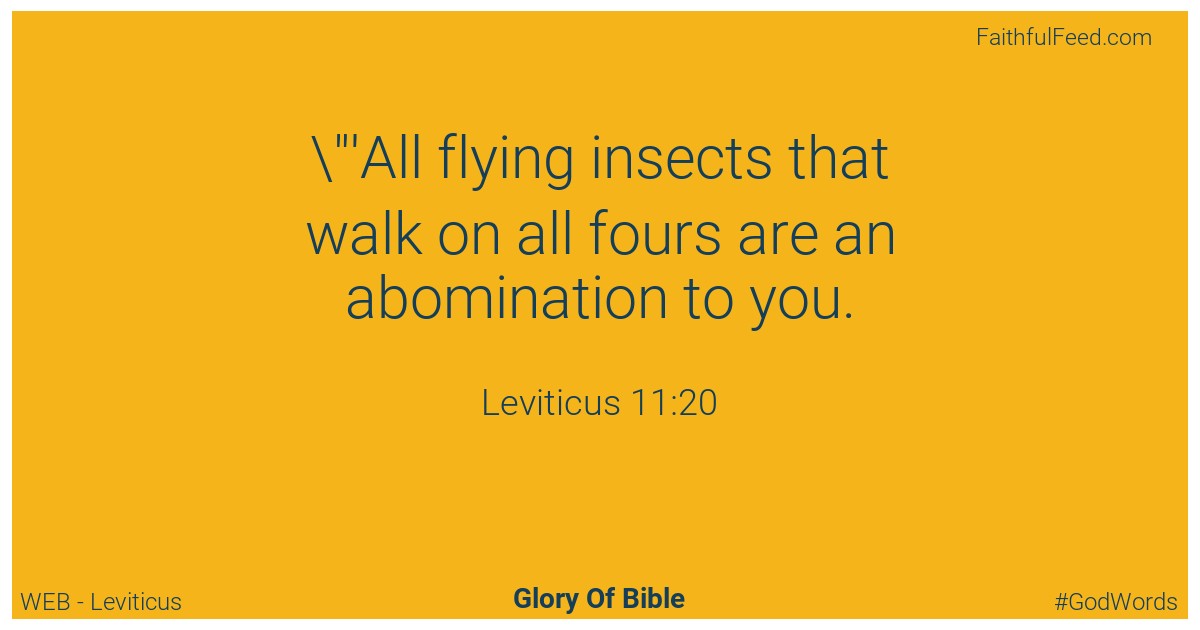 Leviticus 11:20 - Web