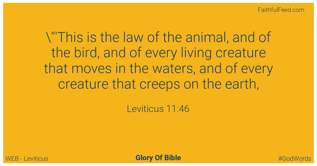 Leviticus 11:46 - Web