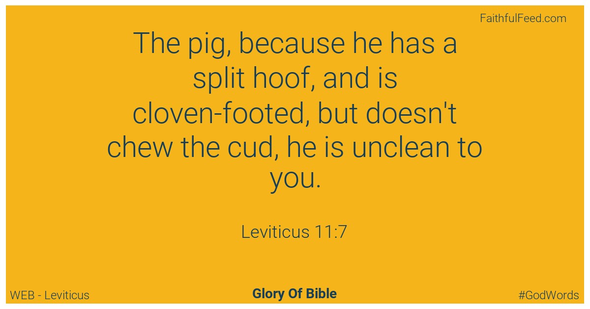 Leviticus 11:7 - Web