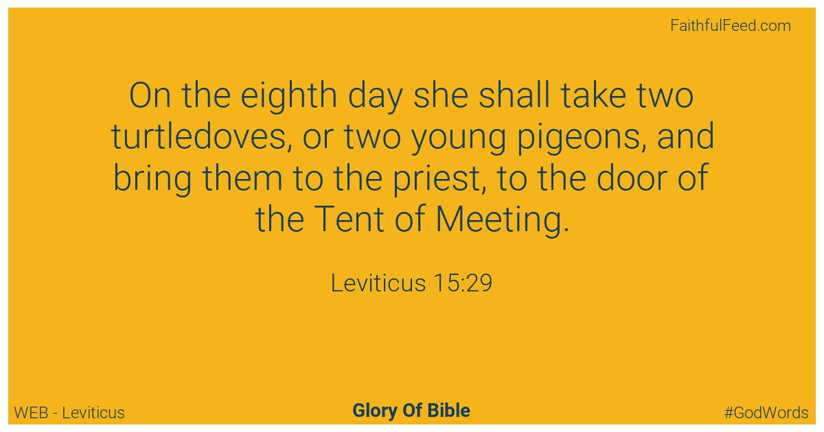 Leviticus 15:29 - Web