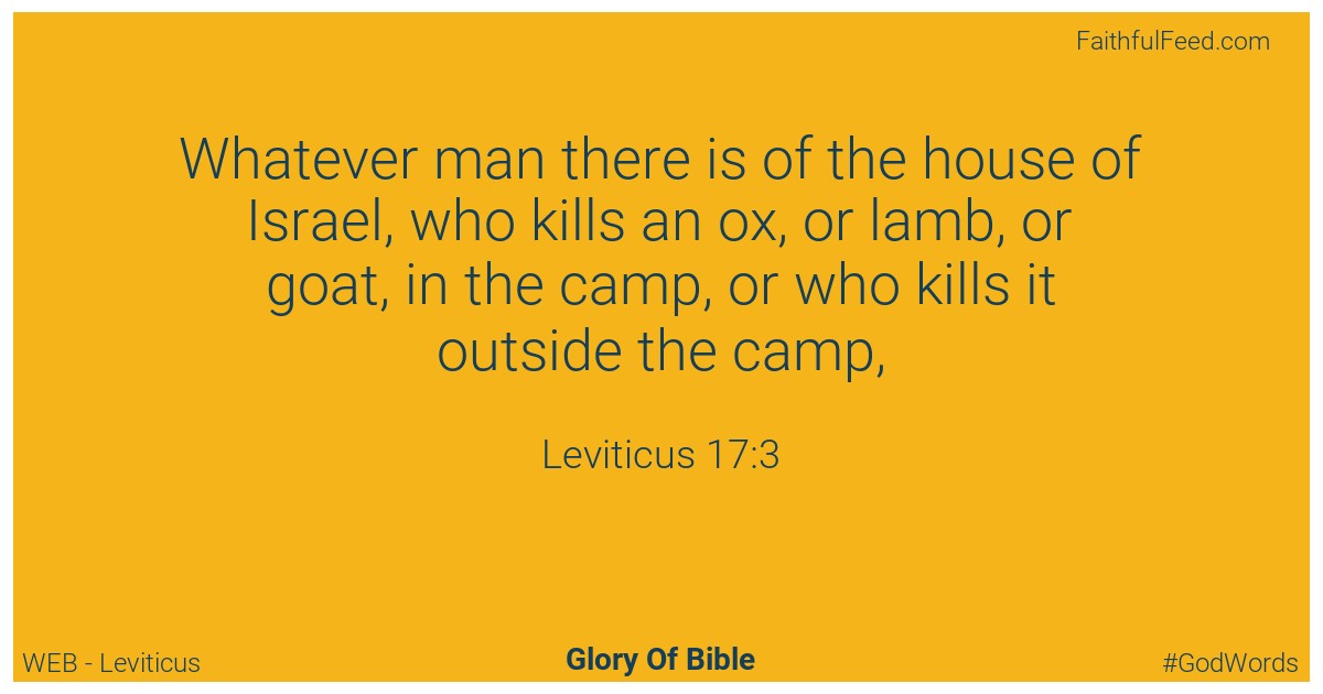 Leviticus 17:3 - Web