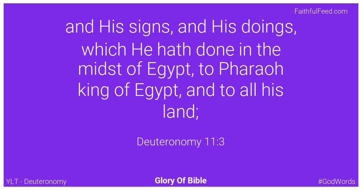 Deuteronomy 11:3 - Ylt