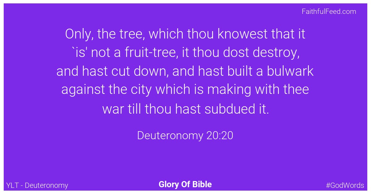 Deuteronomy 20:20 - Ylt