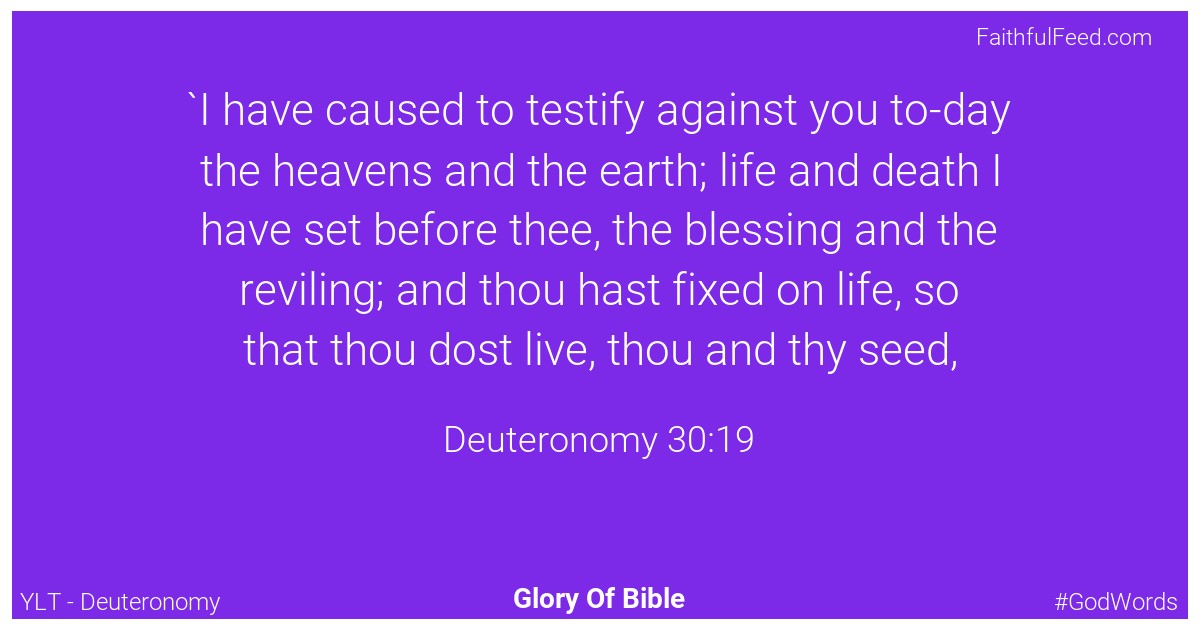 Deuteronomy 30:19 - Ylt