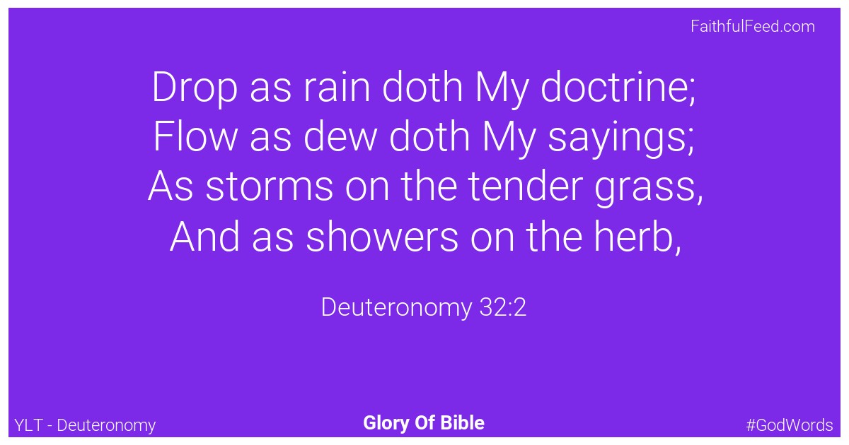 Deuteronomy 32:2 - Ylt