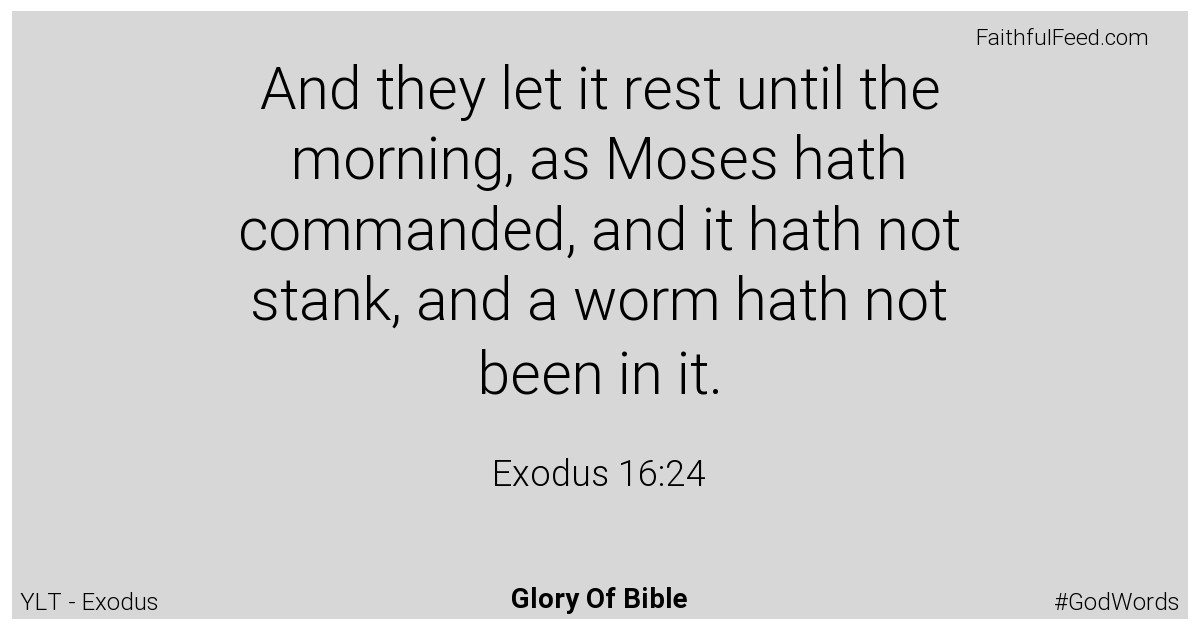 Exodus 16:24 - Ylt