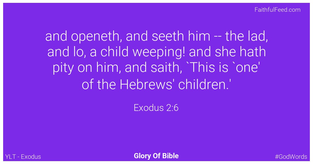 Exodus 2:6 - Ylt