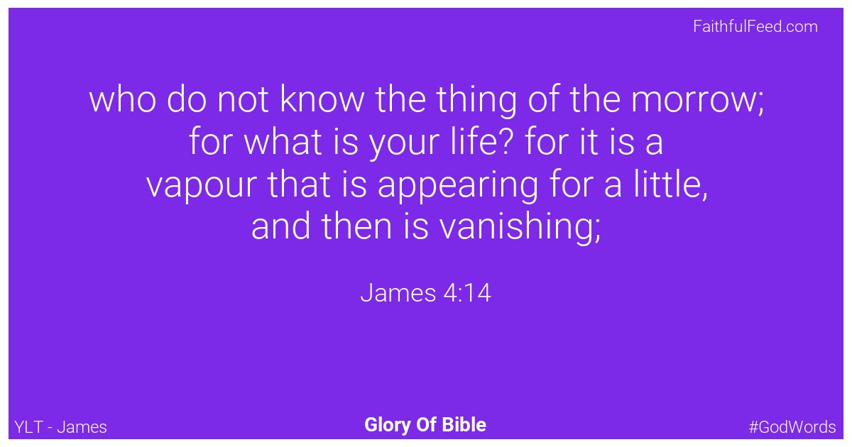 James 4:14 - Ylt