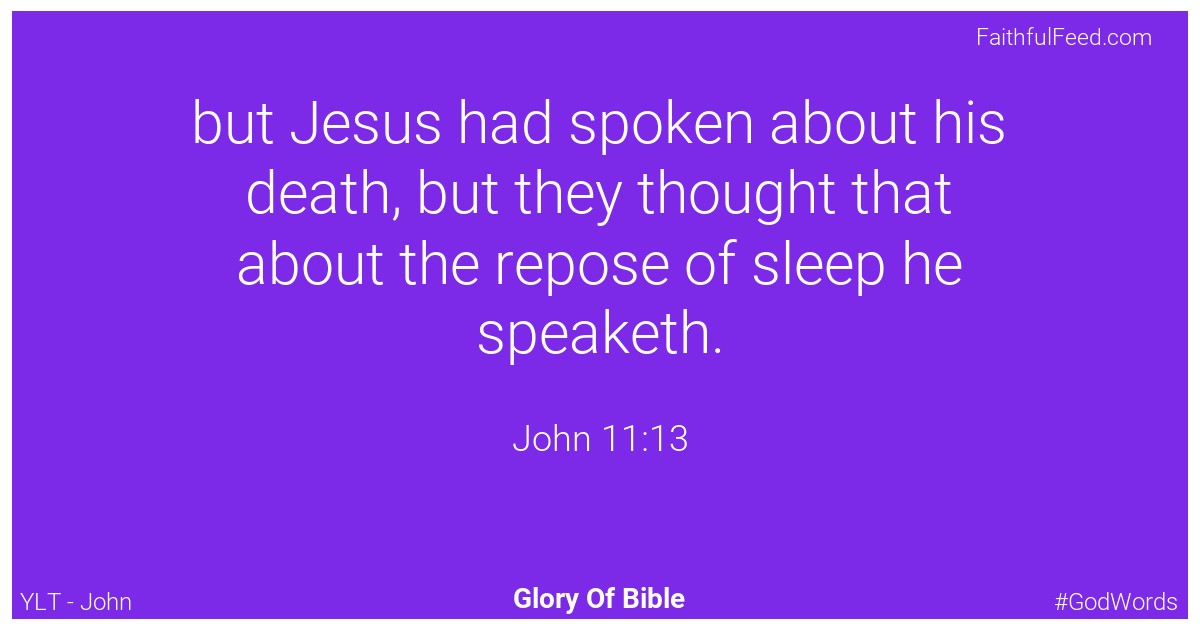 John 11:13 - Ylt