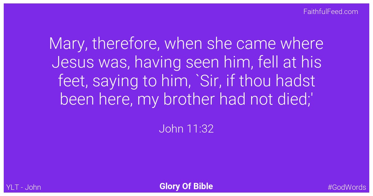 John 11:32 - Ylt