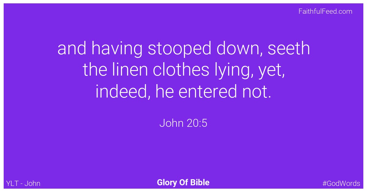 John 20:5 - Ylt
