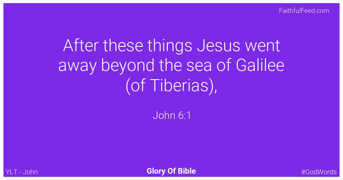 The Bible Verses from John Chapter 6 - Ylt