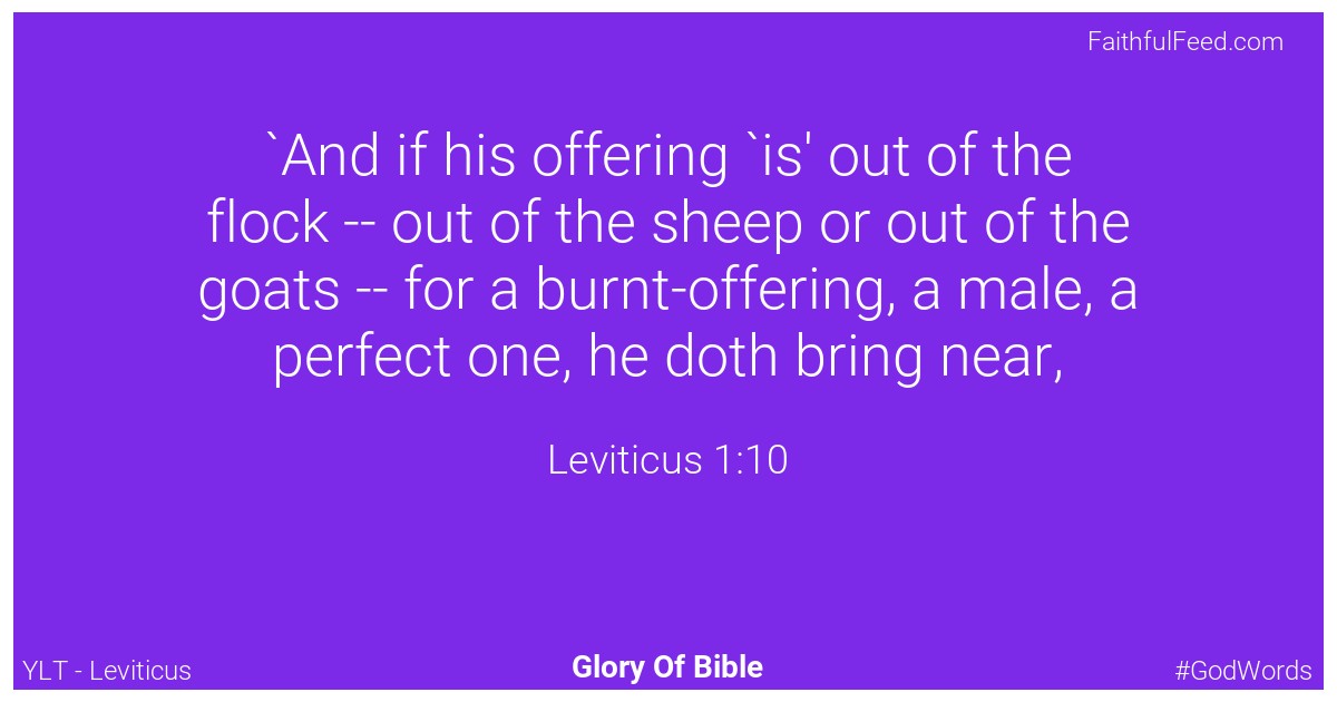 Leviticus 1:10 - Ylt