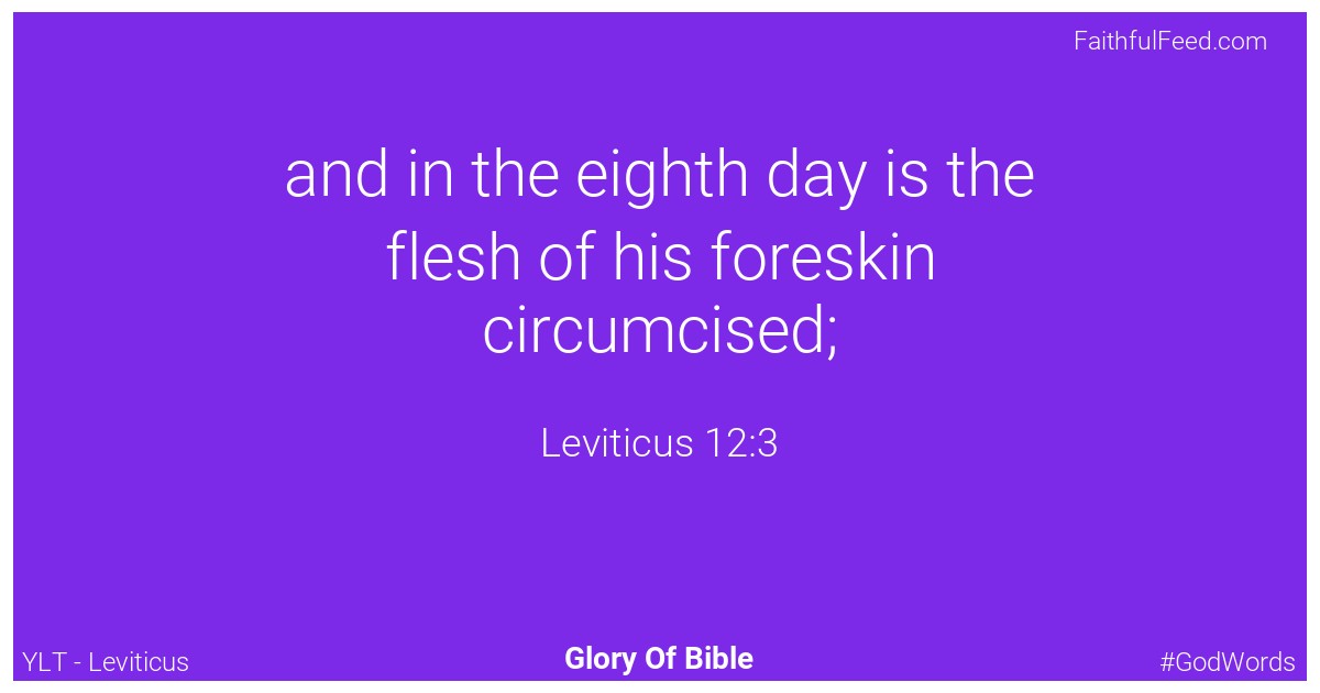 Leviticus 12:3 - Ylt