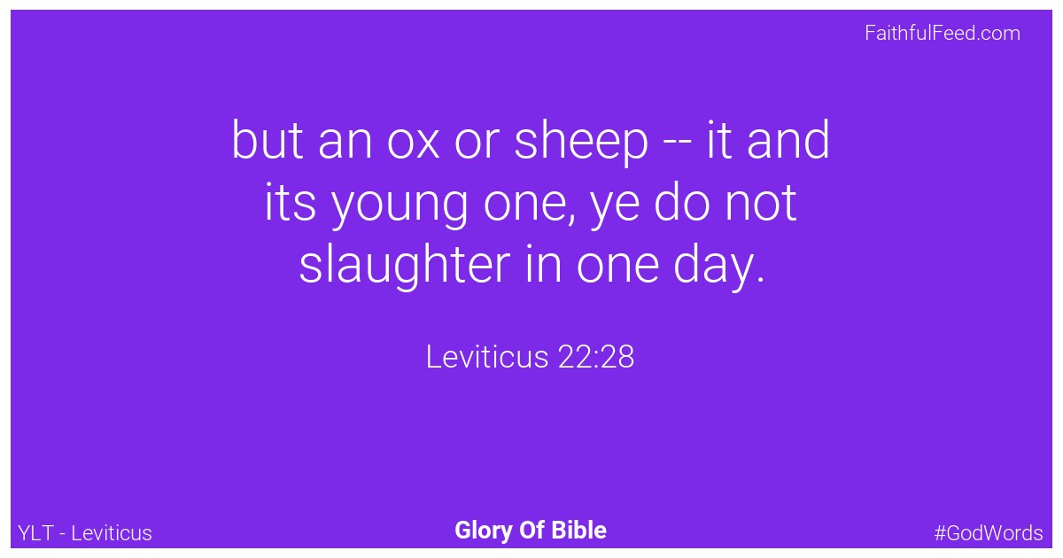 Leviticus 22:28 - Ylt